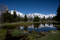 Lake reflection of tetons at Lower Schwabacher Landing