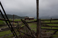 Falling Fences