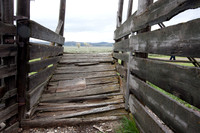 Forgotten Cattle Ramp