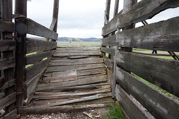 Forgotten Cattle Ramp