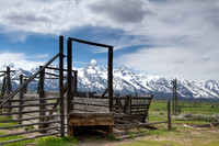 Teton cattle ramp