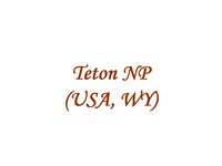 Teton NP (USA, NP)