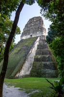 Temple 5