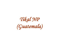 Tikal NP (GUAT)
