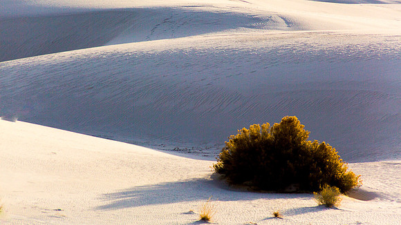 Gypsum sand dune #2