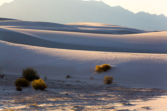 Gypsum sand dune #3