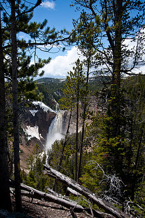lower Yellowstone Falls