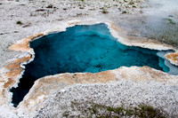 Blue Star Spring