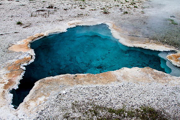 Blue Star Spring