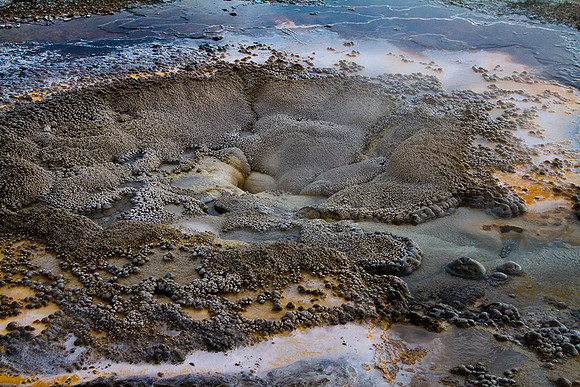 Anemone Geyser