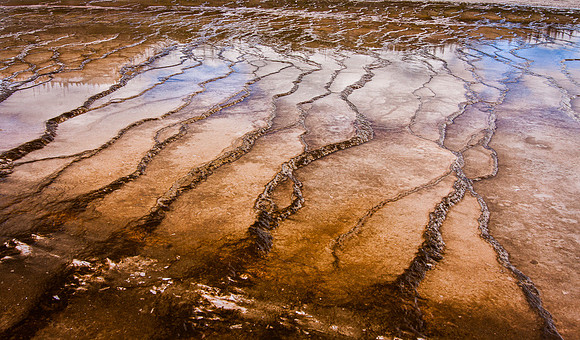 Bacterial Mat - 1
