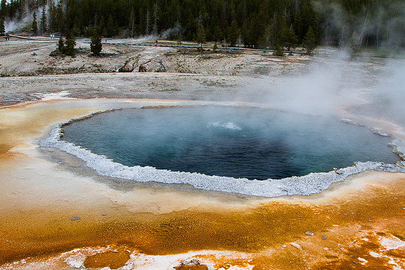 Crested Pool