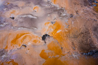 Bacterial Mat - 4