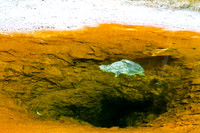 Wave Spring - 2