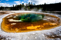 Beauty Pool