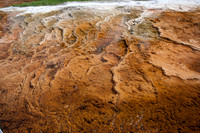 Bacterial Mat - 7