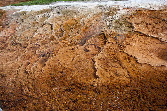 Bacterial Mat - 7