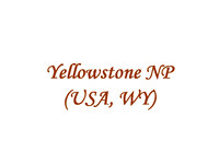 Yellowstone NP (USA, WY)