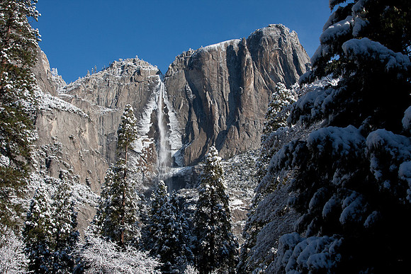 Yosemite Falls in Winter