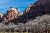 Zion National Park in winter #1