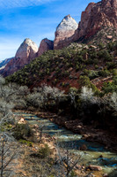 Virgin River #1, Zion National Park