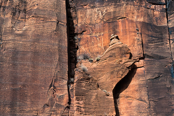 Zion National Park Hoodoo