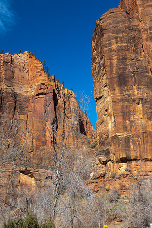 Temple of Sinawava, Zion NP
