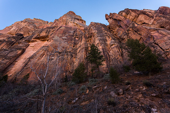 Soaring Zion Cliffs