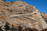Zion Petrified Sand dune