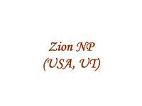 Zion NP (USA,UT)