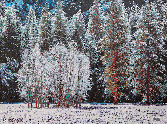Winter Cottonwood's (mixed media)
