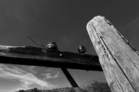 Telephone Pole, Oatman, AZ