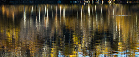 Just the reflections