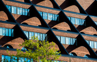 Arches & Triangles