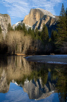 Half Dome and Cottonwoods reflected in Merced River