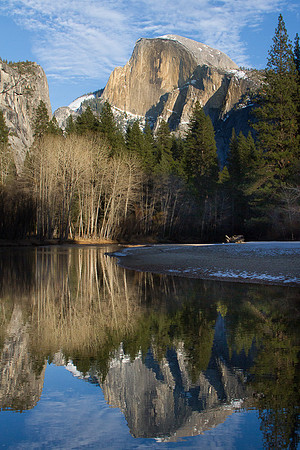 Half Dome and Cottonwoods reflected in Merced River