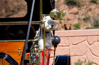 Dog in T