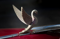 1950's era Cadillac swan hood ornament on