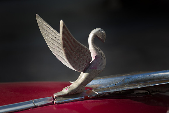 1950's era Cadillac swan hood ornament on