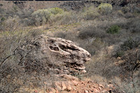 Lions Head Rock