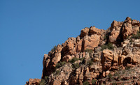 Two Frogs on the rim