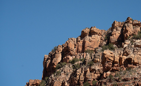 Two Frogs on the rim