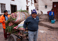 Bringing the produce to market