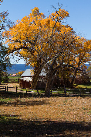 Utah farm in the fall 2