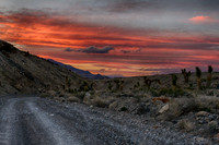 Desert Sunset with Joshua Trees 2