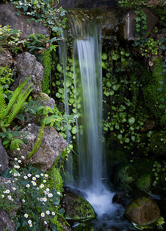 Hakone Waterfall