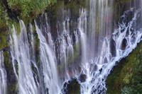 Burney Falls, CA #1