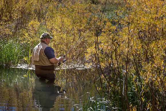 Fisherman on South Fork of Bishop Creek