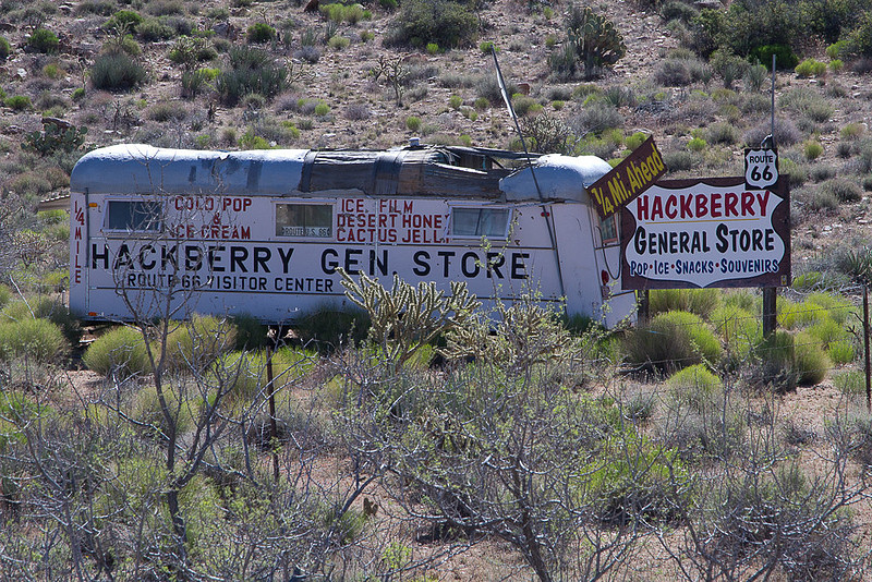 Hackberry Promo