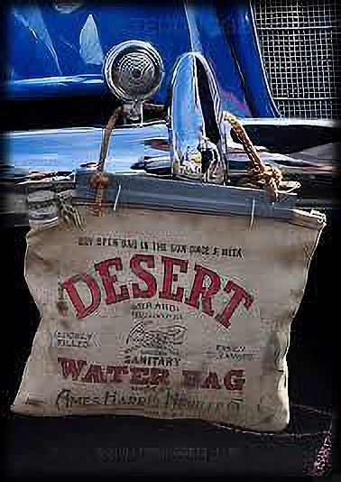 25 Water Bag